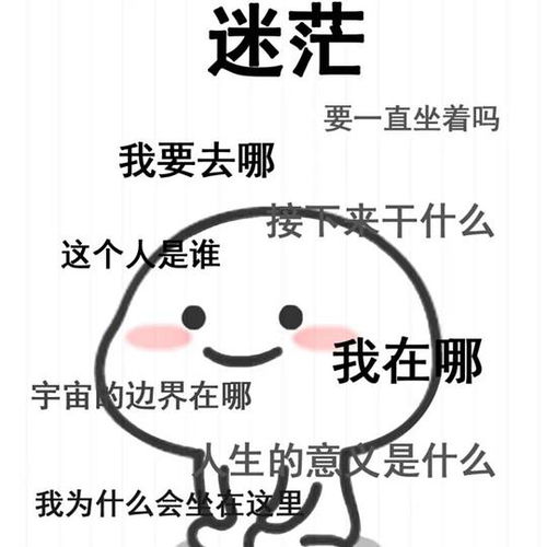 好运气表情包大全志愿填