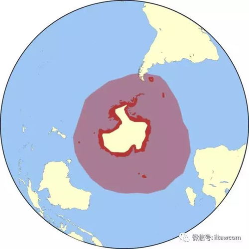  海洋科普623飞翔于水中的鸟类企鹅