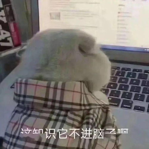  成年人的崩溃,往往都在一瞬间生活
