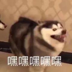  不会秀恩爱16对情侣手把手教你在剑门关拍七夕大片