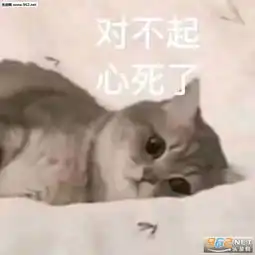  别问了老子今天也爱你图片我上去就是一瓢表情包下载乐游网游戏下载