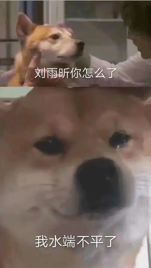 今天元气满满表情包魔法