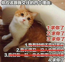  社会大姐头这样教女儿10秒钟求完了婚