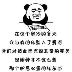  表情包熊猫头写日记