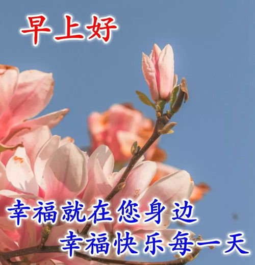  寒冷清晨早上好问候祝福表情图片2022最美早安动态图片表情带字关心的话