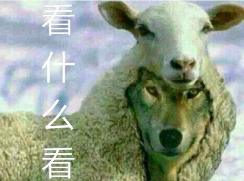  拼床这可能是目前最污的共享项目了.....