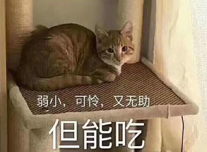  口腔溃疡总是这么折磨人,怎么破