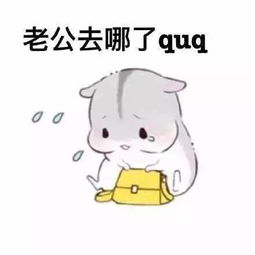  喊老婆表情包无水印版