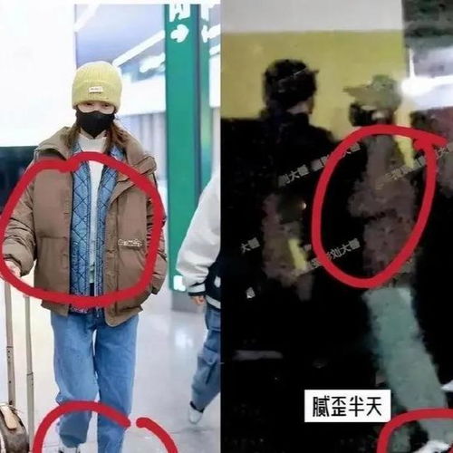  金晨拎礼物拜访胡夏父母,疑似好事将近,双方粉丝却吵翻了天