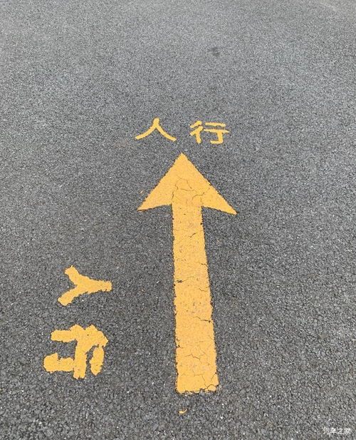  新精英生活世博公园遇见美好的人生