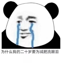  表情包丨12月一点也不想努力,只想准备过年
