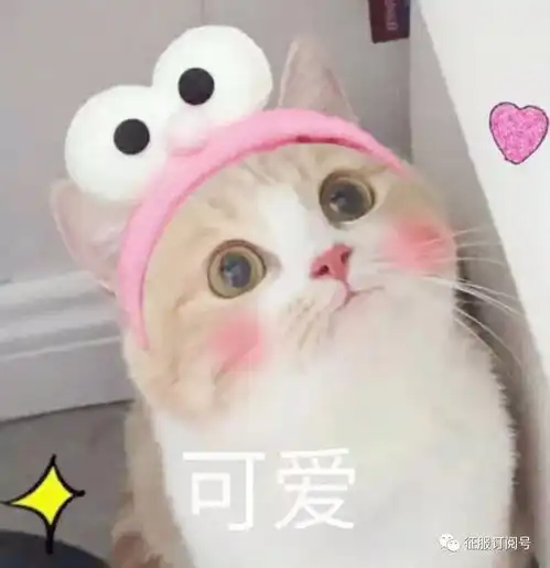  第十三届天阶赛火热来袭还有奋斗新服活动等你来