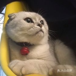  电话,地址,价格,营业时间绍兴美食