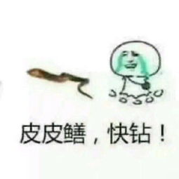  黄鳝门表情包黄鳝,我们走小姐姐带你去个好地方