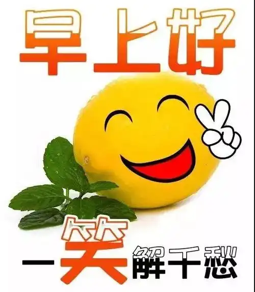 早早上好表情包生日快乐