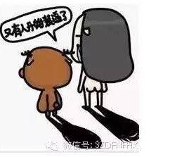  东风南方华新店