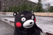  请问我发的这个微信表情动图的图片叫什么名字在哪能弄到全套谢谢
