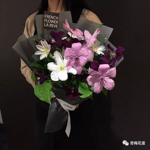  全面解读12星座,你知道自己的幸运花是哪个吗