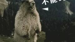  mba中国网mba项目中国管理精英成长平台