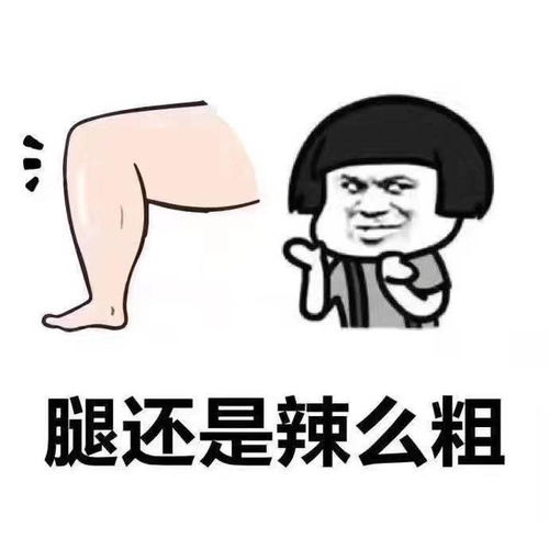  斗图表情包我看你也是单身,要不要做老子的女朋友啊