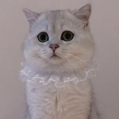 曦曦简单耐看干净小众头像