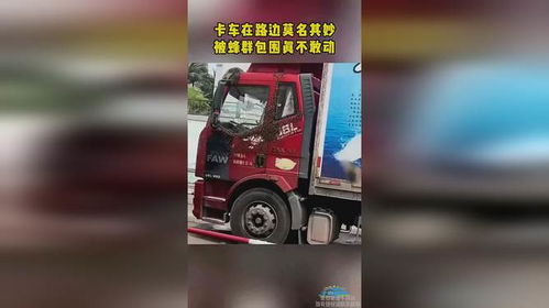  卡车在路边莫名其妙被蜂群包围,真不敢动