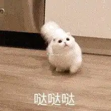  山雨欲来网易因玩家换掉逆水寒策划团队