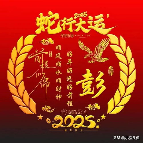  ai绘画姓氏头像邓郭郑齐张周吴林王陈罗