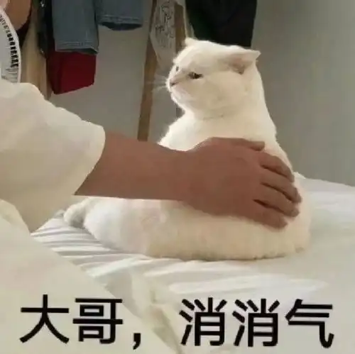  表情包图片尴尬,梦里都是暴富,需要一个抱抱