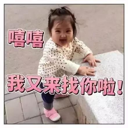  日常聊天表情包超级实用的表情包记得保存