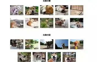  泪目16岁柴犬北登去世,你的表情包里肯定有它