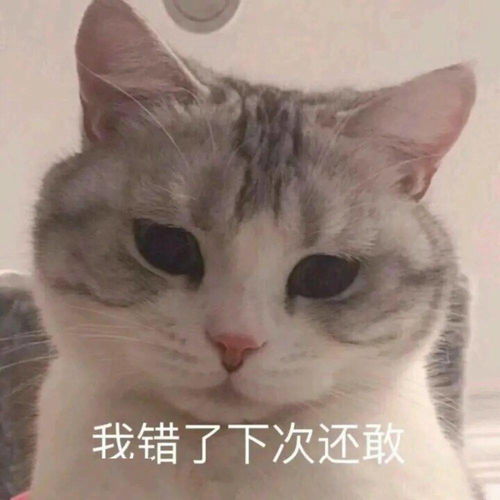  长得可爱就是麻烦丨第312期喵表情包
