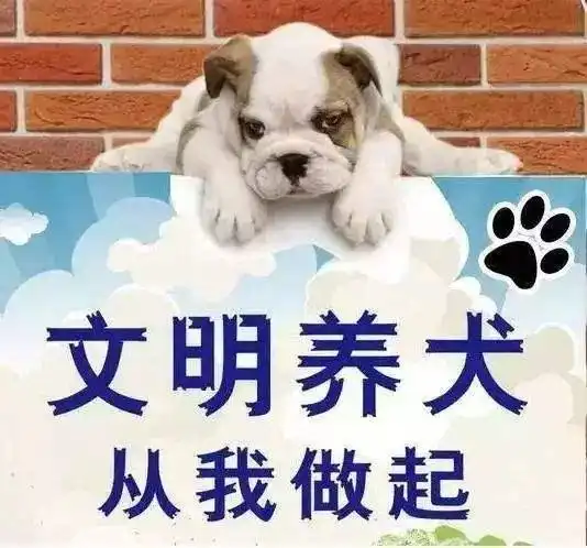 我佛慈悲图片表情包狗狗