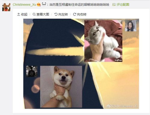  情侣之间发什么表情包网友快马住,万一有对象了呢
