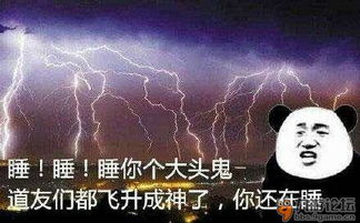  评测废土行动宁可熬夜七八日,拼命也要拿下大油田