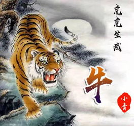 属龙黄姓微信头像