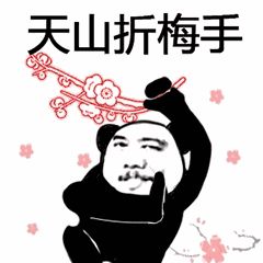  抖音武功秘籍表情包图片大全我将毕生武功全都传给你