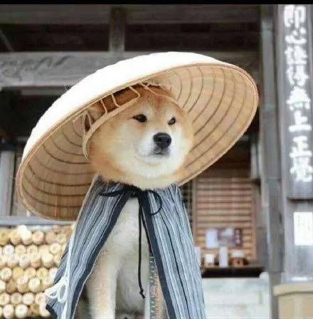  typoramarkdown常用语法画图