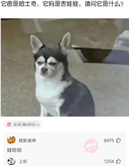  如果我把这把剑取走了,桥会不会有事哈哈哈神评亮了