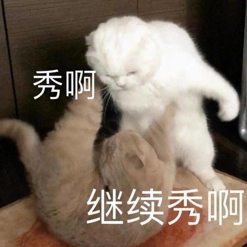  幽默搞笑表情包喜欢我,就养我