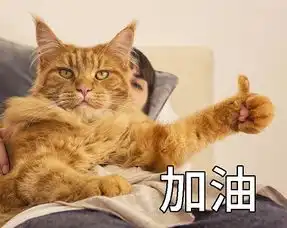  姜很养生吗,能防晕车还治秃头