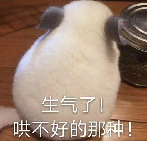  女会计会因为什么原因跟男朋友吵架我加班回家发现他睡了...