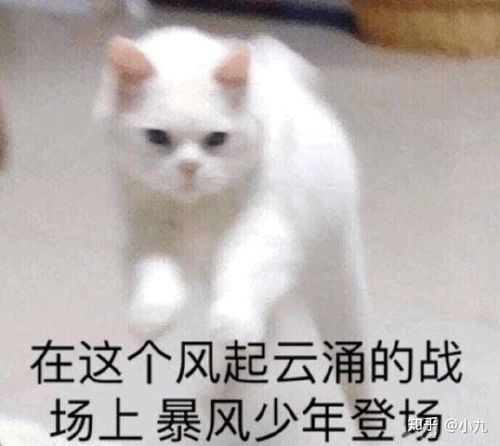  有哪些有含义的网名