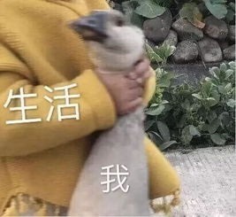  在人间,有谁活得不像一场炼狱