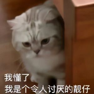 流鼻血很棒的表情包现眼