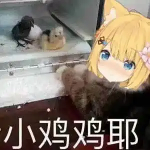  群友们的表情包九十七
