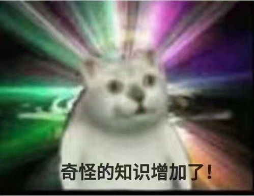  有更多类似奇怪的知识增加了的表情包吗