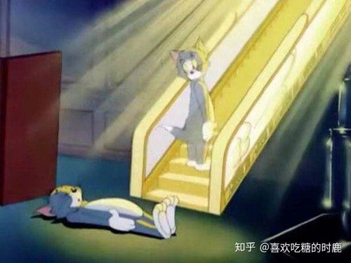  有什么带猫的适合男生用的头像