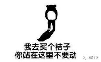  3种奇葩机器人的简单介绍