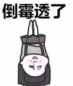  张家港君辰海马